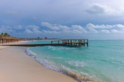 Una bella spiaggia nei pressi di Akumal, Messico. Questa località situata 100 km a sud di Cancun, nel cuore della Riviera Maya, è una delle località preferite dagli appassionati ...