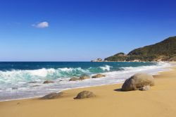 Una bella spiaggia subtropicale sull'isola di Yakushima, Giappone: siamo a Nagata Beach in una giornata di sole.

