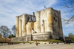 Una bella veduta del castello medievale di Niort, Francia. Questo maestoso complesso, simbolo della cittadina, è ciò che resta dell'antica fortezza costruita nel XII° secolo ...