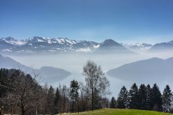 Una bella veduta del lago dei Quattro Cantoni (o di Lucerna) dalla cittadina di Vitznau, Svizzera.
