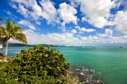 Una bella veduta del porto di Airlie Beach, Queensland, Australia.
