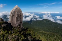 Una bella veduta panoramica dalle montagne di Yakushima, Giappone. Siamo nell'arcipelago delle isole Osumi.
