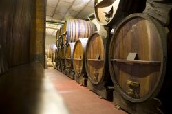 Una cantina buia a la Bodega di Mendoza, Argentina.



