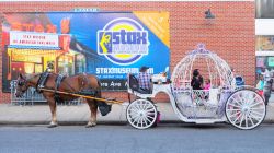 Una carrozza trainata da un cavallo lungo una strada di Memphis, Tennessee - © Mont592 / Shutterstock.com