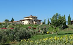 Una casa signorile nelle campagne di Terricciola in Toscana