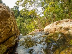 Una cascata tropicale nel mezzo della giungla fra alberi e rocce a Koh Pha Ngan, Thailandia. Siamo in cima alla Paeng Waterfall. Situata a circa 7 chilometri da Pai, questa cascata è ...