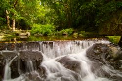 Una cascata tropicale nel parco nazionale di Daintree, Australia.



