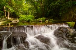 Una cascata tropicale nel parco nazionale di Daintree, Australia.



