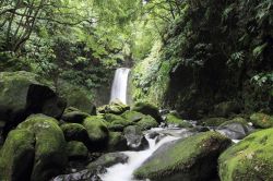 Una cascatella nella foresta dell'isola di Sao Miguel, Azzorre (Portogallo) - © 109496612 / Shutterstock.com