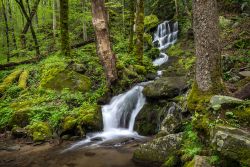Una cascatella stagionale nel Parco Nazionale delle Great Smoky Mountains, USA. Istituita nel 1934, quest'area naturale protetta è fra le più visitate degli Stati Uniti.
