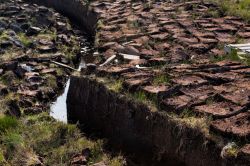 Una cava di torba sull'isola di Lewis and Harris, Scozia - Particolare di una torbiera, ambiente caratterizzato da grande abbondanza di acqua in movimento lento e a bassa temperatura dove ...
