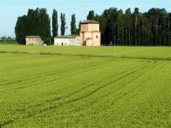 Una chiesa nelle campagne di Sant'Agostino di Ferrara - © www.cittadeltartufo.com