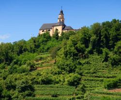 Una chiesa s'affaccia sui vigneti di Segonzano in Trentino - © Natalia Macheda / Shutterstock.com