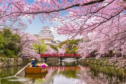 Una classica cartolina dal Giappone: primavera al Castello di Himeji, a Tokyo