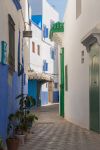 Una colorata stradina della medina di Asilah, Marocco. Le case dalle facciate bianche e azzurre con particolari verdi sono una delle caratteristiche di questa cittadina; spesso le abitazioni ...