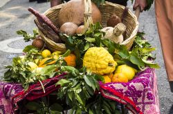 Una composizione di frutta alla Sagra degli Agrumi di Muravera in Sardegna - © GIANFRI58 / Shutterstock.com