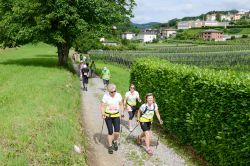 Una corsa podistica nelle campagne di Mendrisio in Svizzera, Canton Ticino - © Stefano Ember / Shutterstock.com