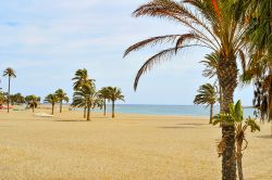Una delle spiagge di Carboneras, Almeria, Spagna. Palme e sabbia fine caratterizzano questo tratto di litorale lambito da acque azzurre e cristalline.

