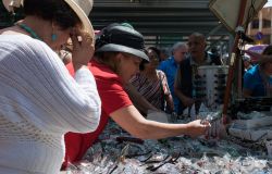 Una donna acquista occhiali al Jaffa Flea Market (Shuk Hapishpishim) di Tel Aviv-Jaffa, Israele.  Questo mercato delle pulci è un'esperienza imperdibile durante un soggiorno ...