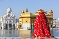 Una donna con un tradizionale sari rosso osserva il Tempio d'Oro a Amritsar, Punjab, India.



