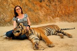 Una donna posa per una fotografia con una tigre nel Kanchanaburi, Thailandia.
