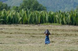 Una donna si ripara dal sole in un campo nelle campagne di Myeik, sud del Myanmar - © amnat30 / Shutterstock.com