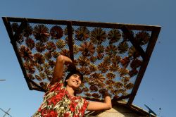 Una donna trasporta pesce essiccato su una rete nella città di Myeik, sud del Myanmar - © amnat30 / Shutterstock.com