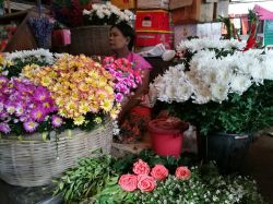 Una donna vende fiori in un mercato a Mergui, Myanmar - © Apik / Shutterstock.com