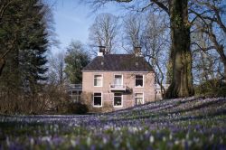 Una fattoria nelle campagne di Drenthe, Paesi Bassi