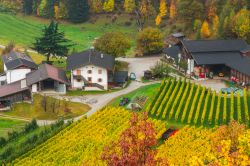 Una fattoria vicino a Novacella di Varna, fotografata in autunno