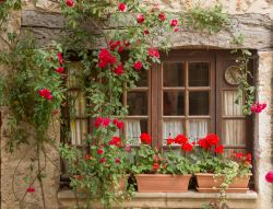 Una finestra decorata con piante e fiori colorati nel centro storico di Perouges, Francia.
