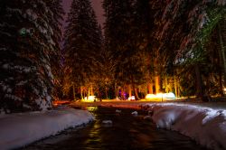 Una foresta innevata by night a Lenzerheide, Svizzera. Siamo in una delle più rinomate località invernali e estive della Svizzera.

