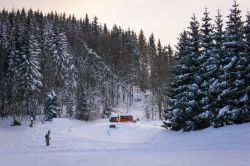 Una foresta innevata su una pista per famiglie a Semmering, Austria.
