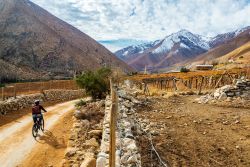 Una giovane donna in mountain bike nella valle di Elqui nei pressi di Vicuna, Cile. Sullo sfondo le vette innevate delle Ande.

