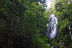 Una grande cascata nella giungla tropicale dell'isola di Pha Ngan, Thailandia.


