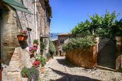 Una graziosa casa in mattoni con fiori nel cuore di Montefalco, Umbria.
