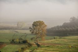 Una mattina nebbiosa nelle zone umide del Padule di Fucecchio in Toscana