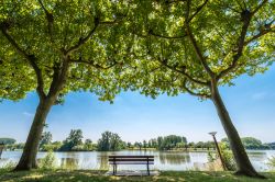 Una panchina lungo il fiume Tarn nel villaggio di Moissac, Francia.

