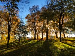 Una passeggiata nella natura nei dintorni di Vichy, Francia, in una giornata d'autunno.
