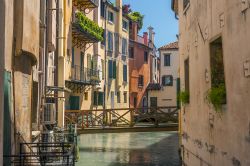 Una passerella in legno attraversa un canale di Treviso, Veneto. Questa bella città si trova vicino a Venezia, Padova e Vicenza.



