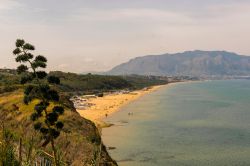 Una pianta di Agave e la bella vista della costa di Balestrate in Sicilia