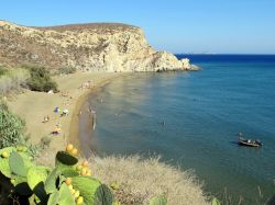 Una pianta di fichi d'India fra la vegetazione dell'isola di Anafi, Grecia - © Kostas Koutsaftikis / Shutterstock.com 