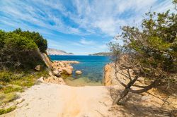 Una piccola cala a Punta Molara, San Teodoro (Sardegna)