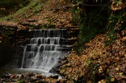 Una piccola cascata a Dunfermline, Scozia, UK. A fare da cornice è uno splendido paesaggio autunnale.
