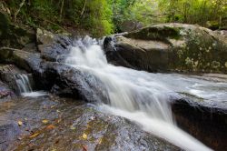 Una piccola cascata nel lago Peri a Florianopolis, Brasile: le foglie si presentano con foliage autunnale. 

