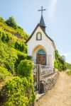 Una piccola chiesetta in un vigneto di Thann, Francia.



