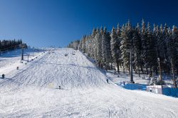 Una pista da sci al Rogla ski resort, Slovenia. Questo comprensorio di sci alpino comprende dispone di 10 km di piste adatte a sciatori di ogni livello a cui si può accedere tramite 13 ...