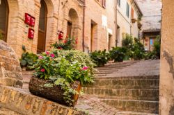 Una pittoresca scalinata del centro storico di Recanati, Marche, con decorazioni floreali.



