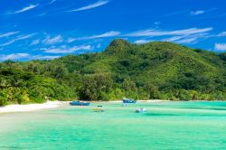 Una pittoresca spiaggia tropicale a La Mouche, isola di Mahé, Seychelles. Lunga e ampia e orlata da palme, questa spiaggia si trova sulla costa occidentale dell'isola.
