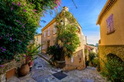 Una pittoresca stradina del borgo di Bormes-les-Mimosas, Francia, con fiori e piante.
